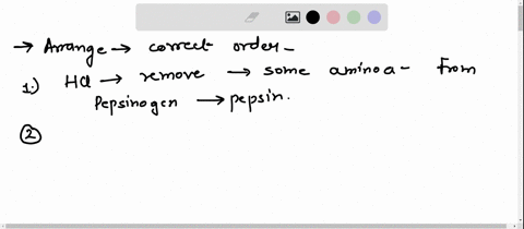 place-a-single-word-into-each-senience-to-make-l-correctthen-arrange-each-sentence-lni-drng-the-tent-slocle-below-into-thol-eenrect-ordor-hci-hci-will-remove-some-amino-acids-from-pepsinogen-39435