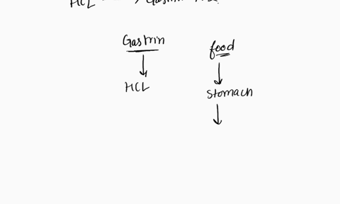 hcl-in-the-stomach-stimulates-the-release-of-gastrin-atrue-bfalse-58255