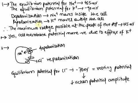 consider-a-cell-with-the-following-inside-and-outside-ionic-concentrations-ion-in-mm-out-mm-na-5-150-k-145-25-cl-5-25-a-assuming-the-resting-membrane-potential-is-120-mv-and-the-cell-uses-na-60098