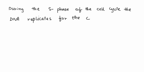 question-7-1-pts-what-happens-during-the-stage-of-the-cell-cycle-shown-in-81-figure-fig-61-homologous-chromosomes-pair-up-the-cell-divides-into-two-daughter-cells-the-genetic-information-is-29878