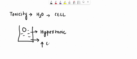 when-a-plant-cell-is-placed-in-surroundings-containing-a-greater-solute-concentration-then-inside-the-cell-what-happens-to-the-cella-plasmolysis-b-the-cell-becomes-flaccid-what-type-of-trans-03681