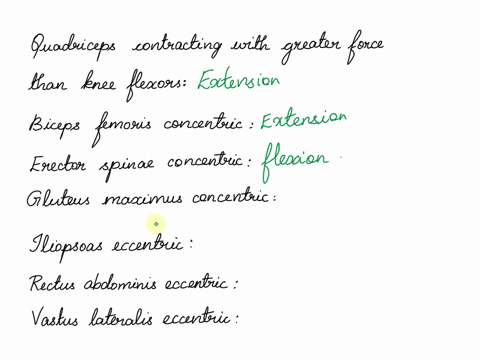 for-each-label-determine-whether-the-movement-would-produce-extension-or-flexion-then-place-the-label-in-the-appropriate-location-extension-quadriceps-contracting-with-greater-force-than-the-11217