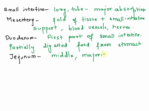 small-intestinerelated-structures-special-feature-structure-mesentery-duodenum-jejunum-ileum-lleocecal-valve-brush-border-enzymes-microvilli-villi-plicae-circularis-peyers-patches-intestinal-92387