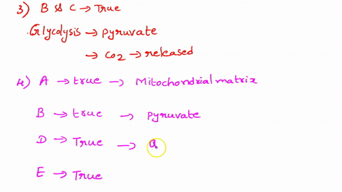 q1-select-all-that-apply-to-the-functional-characteristics-of-the-electron-transport-chain-etc-a-the-etc-transfers-electrons-from-nadh-and-fadh2-to-oxygen-b-the-etc-pumps-protons-into-the-ma-16539