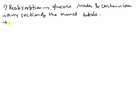 drag-each-statement-to-the-term-it-describes-reabsorption-secretion-substances-that-are-useful-to-the-body-such-as-glucosewaterand-cortain-ionunderotis-proces-this-process-can-take-place-in-88561