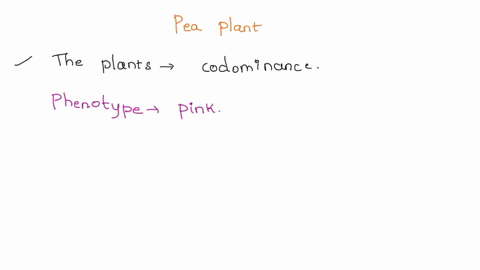 a-cross-between-two-sweet-pea-plants-yielded-41-plants-with-pink-flowers-19-with-white-and-20-with-red-how-is-flower-colored-inherited-what-is-the-phenotype-of-the-parents-9-show-through-pun-27443