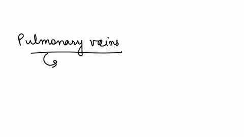true-or-false-after-passing-the-lungs-all-human-pulmonary-veins-carry-oxygenated-blood-select-one-true-false