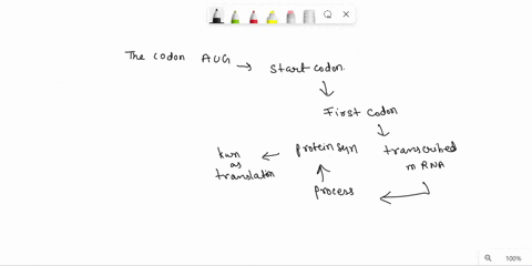 1which-of-the-following-would-result-in-translation-not-beginning-a-mutation-in-one-of-the-stop-codons-a-mutation-so-that-there-is-no-aug-codon-a-very-short-poly-a-tail-a-mutation-in-the-pro-88796
