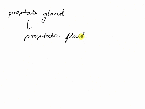 production-of-which-of-the-following-is-a-function-of-the-prostate-gland-a-testosterone-b-fluid-to-lubricate-the-head-of-the-glans-c-substances-to-enhance-sperm-motility-d-gonadotropin-relea-89046