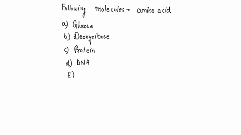 which-of-the-following-molecules-contains-amino-acid-a-glucose-b-deoxyribose-c-protein-d-dna-e-ribonucleic-acid-f-aminodes-37805