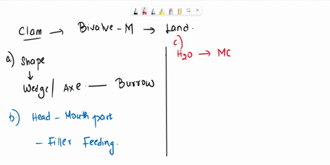 1-describe-the-shape-of-a-clams-foot-and-explain-how-the-clam-uses-it-for-movement-2-name-and-describe-the-type-of-feeding-exhibited-by-the-clam-3-how-does-the-clam-draw-water-into-its-mantl-99553