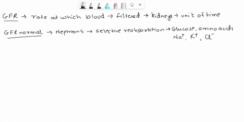 explain-what-happens-to-na-concentration-in-the-nephron-when-gfr-increases-76747