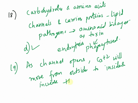 hydrophilic-molecules-such-8s-carbohydrates-and-amino-acids-can-enter-the-cell-by-using-prolein-channels-and-carriars-endocytosis-exocytosls-and-are-corect-and-are-conect-given-the-following-95934