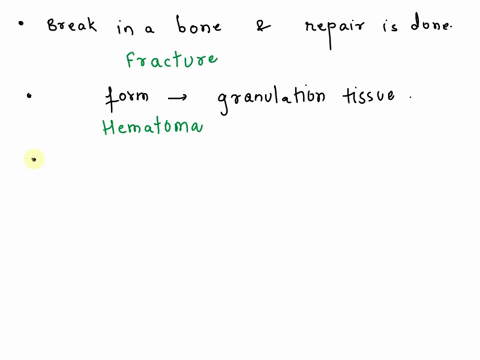 place-a-single-word-into-each-sentence-to-make-it-correct-not-all-terms-will-be-used-osteoblasts-any-break-in-a-bone-is-called-a-and-repair-is-done-in-stages-by-the-body-hematoma-callus-a-wi-55846