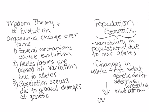 describe-the-modern-theory-of-evolution-and-discuss-how-it-is-supported-by-evidence-from-two-of-the-following-three-areasa-population-geneticsb-molecular-biologyc-comparative-anatomy-and-emb-68104