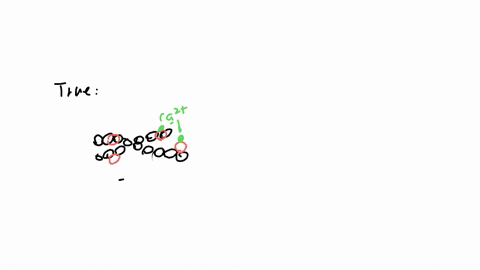 true-false-the-power-stroke-in-a-muscle-contraction-comes-from-the-myosin-head-pulling-the-actin-filament-towards-the-center-of-the-sarcomere-true-false