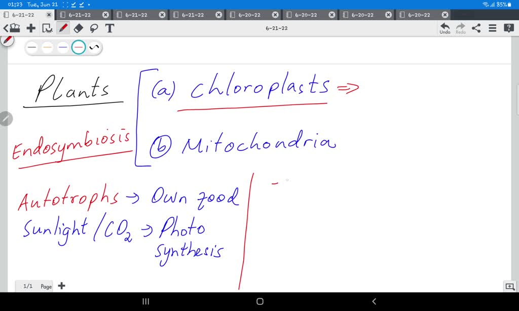 SOLVED Why do plants need both chloroplasts and mitochondria??