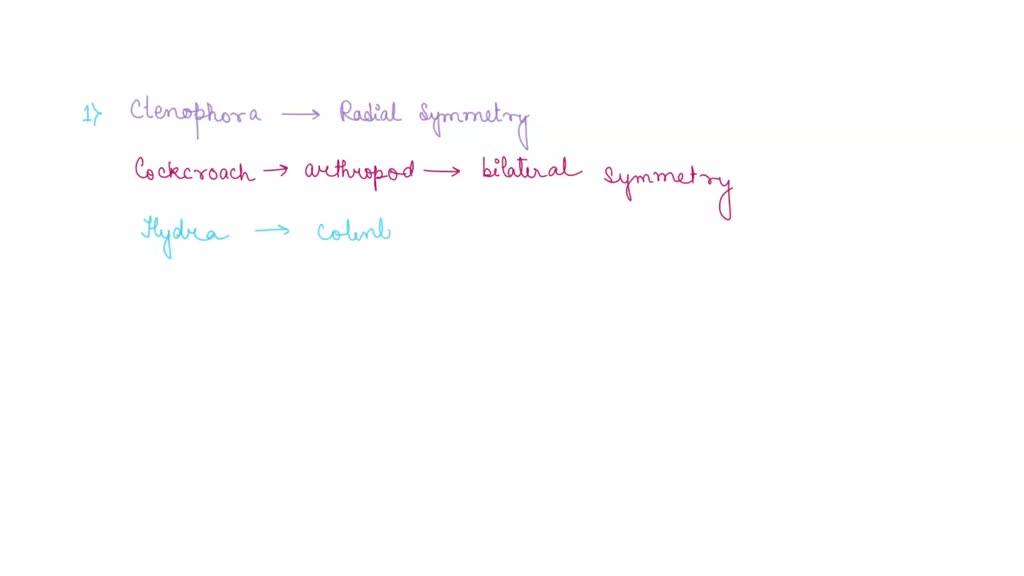 SOLVED: Invertebrates Organism E Post-Lab Questions: Pick 5 additional