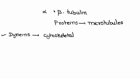 besides-alpha-and-beta-tubulin-microtubules-may-have-which-of-these-proteins-that-affect-assembly-and-disassembly-a-kinesins-b-dyneins-c-myosin-d-mapss-99318