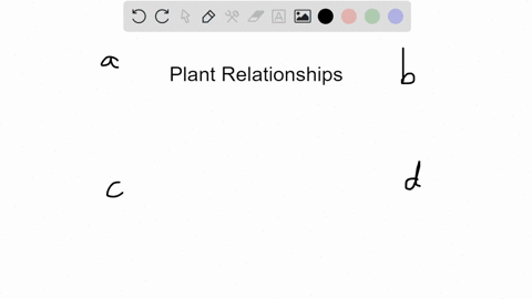 question-7-4-pts-dwarf-mistletoes-are-flowering-plants-that-grow-on-certain-forest-trees_-they-obtain-nutrients-and-water-from-the-vascular-tissues-of-the-trees-the-trees-derive-no-known-ben-90617