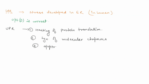 an-unfolded-protein-response-upr-exhibits-two-phases-an-initial-attempt-to-reduce-er-stress-and-a-later-response-that-gives-up-and-sends-cells-into-apoptosis-which-of-the-following-would-not-48492