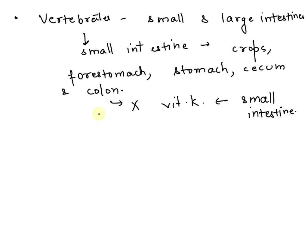 SOLVED: Vertebrates (which include fish, sharks, reptiles, amphibians