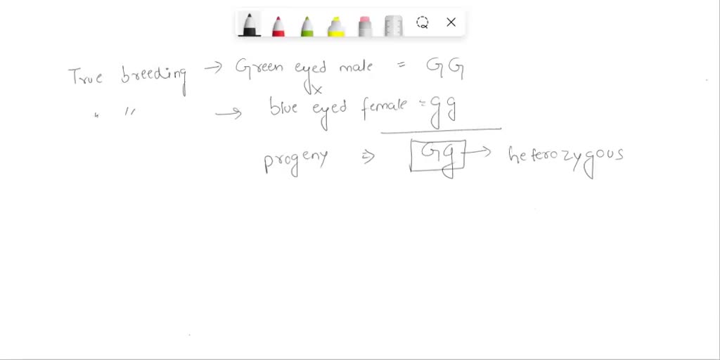 SOLVED "Q9 Assume that green eyes in humans are dominant to blue eyes