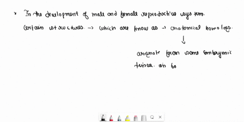 question-28-1-points-save-answer-identify-the-mismatched-pair-of-anatomic-homologs-in-the-reproductive-system-o-a-penis-clitoris-b-scrotum-labia-minora-ctestis-ovary-dcorpus-spongiosum-vesti-02757