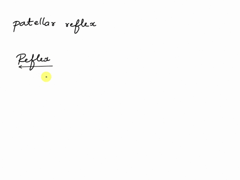 question-76-which-of-these-reflexes-is-a-monosynaptic-reflex-opatellar-reflex-o-plantar-reflex-opupillary-reflex-ciliospinal-reflex-81432
