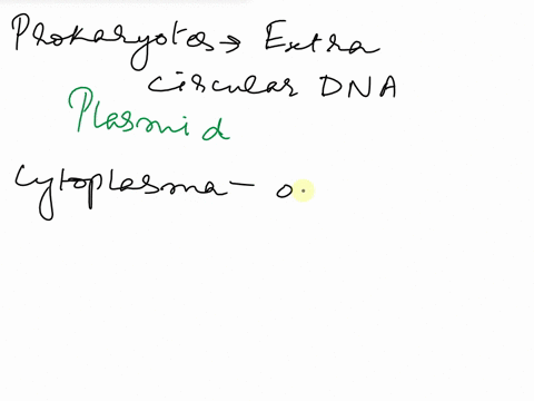 nucleold-some-prokaryotes-carry-genes-0n-extrachromosoma-pieces-of-circular-dna-called-plasma-membrane-embedded-wilhin-the-cytoplasm-are-small-organelles-composed-of-rrna-and-protein-called-14892