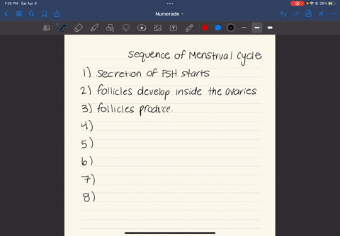 the-menstrual-cycle-place-the-events-in-the-menstrual-cycle-in-order-starting-wlth-menstruation-secretion-of-fsh-starts-aburst-of-lhis-released-follicles-produce-estrogen-uterine-lining-is-s-21173