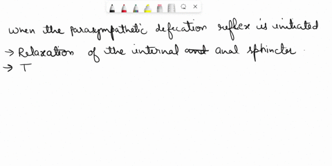 which-of-the-following-happens-when-the-parasympathetic-defecation-reflex-is-initiated-relaxation-of-the-external-anal-sphincter-relaxation-of-the-rectum-relaxation-of-the-internal-anal-sphi-95414