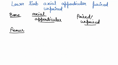lower-limb-axial-appendicular-paired-unpaired-classification-pone-s-articulates-with-bone-femur-patella-tibia-fibula-tarsals-phalanges-63816