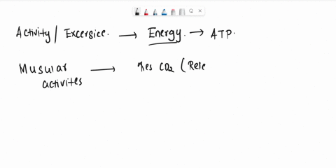 during-exercise-more-oxygen-is-delivered-to-the-muscles-because-a-active-muscles-produce-more-co2-lowering-the-ph-of-the-blood-b-active-muscles-produce-heat-c-both-a-and-b-are-correct-d-neit-08437