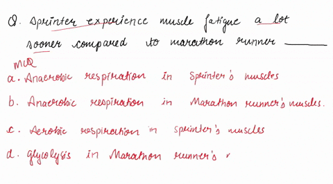 a-sprinter-would-experience-muscle-fatigue-sooner-than-a-marathon-runner-due-to-____________-a-anaer-39823