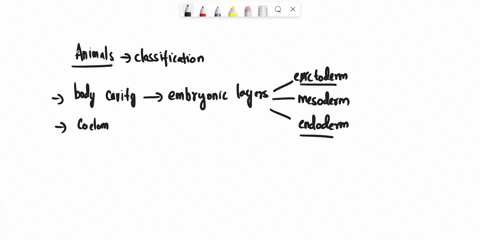how-useful-is-the-study-of-the-nature-of-body-cavity-and-coelom-in-the-classification-of-animals-29754