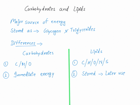 what-is-the-main-chemical-similarity-between-carbohydrates-and-lipids-what-are-the-main-differences-71065