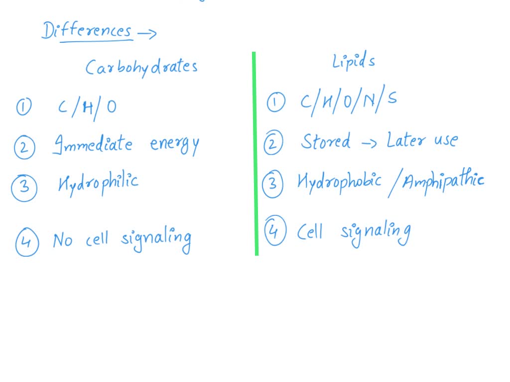 What S The Difference Between Carbohydrates And Lipids Infoupdate