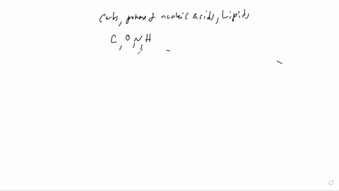1-what-are-the-4-biomolecules-2-why-do-we-eat-3-what-biomolecules-do-you-see-in-a-nutrition-facts-label-4-what-are-the-4-main-elements-in-biomolecules-5-why-are-carbohydrates-the-biomolecule-02296