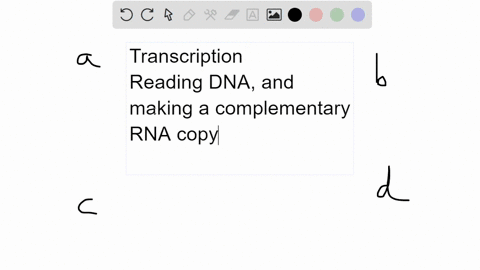 question-43-not-yet-answered-points-out-of-100-flag-question-which-of-the-following-components-are-not-needed-for-transcription-process-select-one-dna-template-b-rna-polymerase-ribosome-ribo-93182