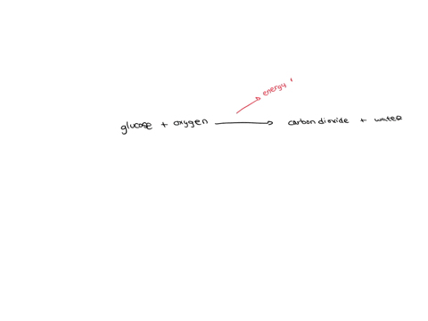 please-help-which-statement-describes-the-reaction-for-cellular-respiration-which-statement-describes-the-reaction-for-cellular-respiration-the-equation-is-carbon-dioxide-water-_-glucose-oxy-65275