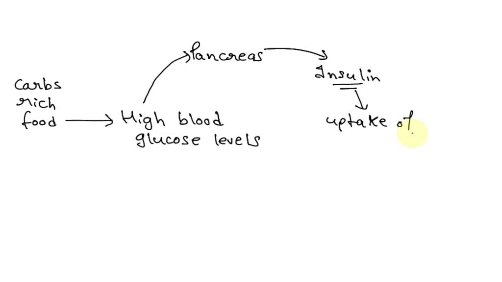 urine-ketone-level-chart