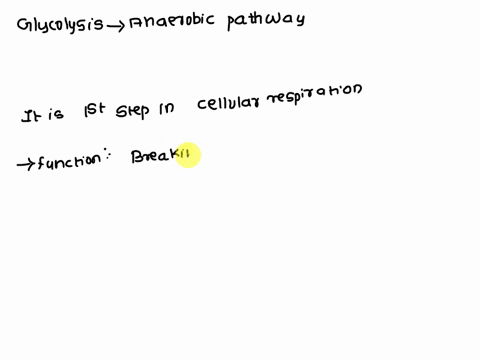 2114-why-is-glycolysis-called-an-anaerobic-pathway-22803