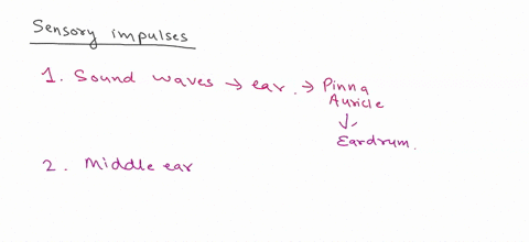 what-are-the-steps-in-the-generation-of-sensory-impulses-from-the-ear-01617