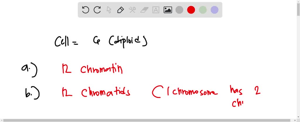 SOLVED: What occurs during interphase? Consider a cell that has 36