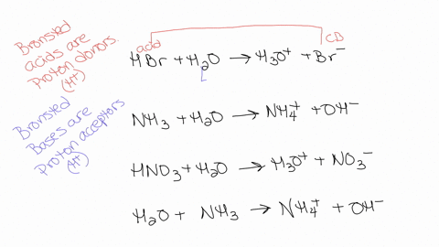 for-each-of-the-following-identify-the-bronsted-lowry-acid-the-brosted-lowry-base-the-conjugate-acid-and-the-conjugate-base-hbraqh2olh3oaqbraq-nh3aqh2ol-nh4aqohaq-hno3aqh2olh3oaqno3aq-h2o-l-58207