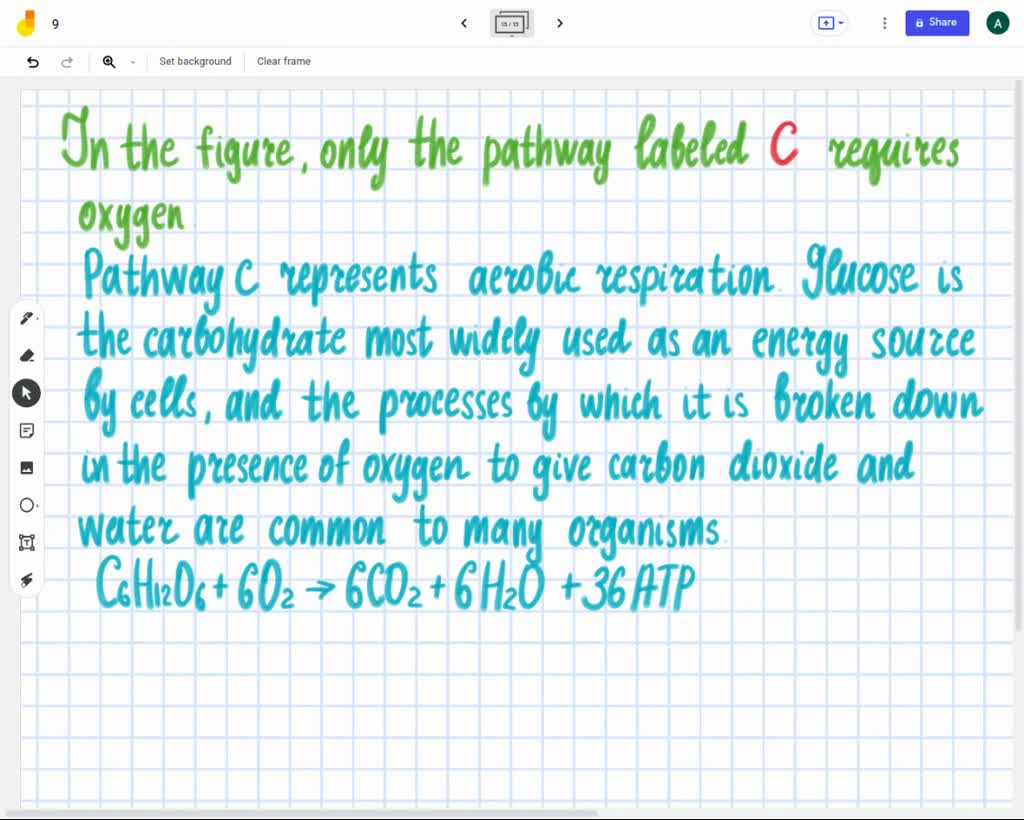 SOLVED: 'In the figure above, only the pathway labeled requires oxygen ...