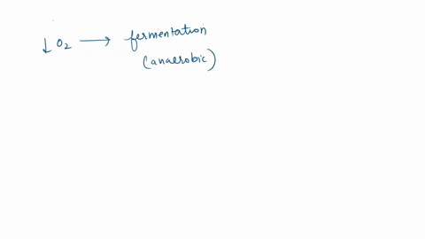 fermentation-is-done-so-that-the-organism-produces-icohol_-the-organism-can-recycle-nad-to-keep-glycolvsis-running-the-organism-can-provide-substrates-for-the-citric-acid-cycle-krebs-cycle-t-19954