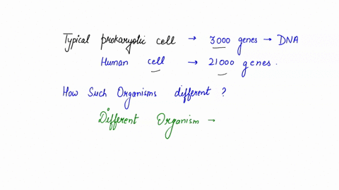 a-typical-prokaryotic-cell-has-about-3000-genes-in-its-dna-while-a-human-cell-has-about-21300-genes-11636