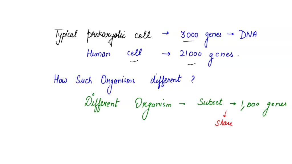 SOLVED: A typical prokaryotic cell has about 3,000 genes in its DNA